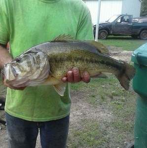 Meet your Posher, Johnny